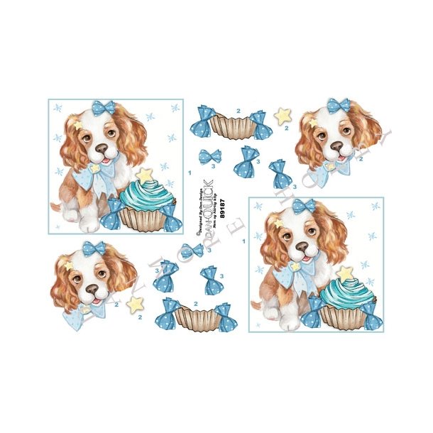 3D ark - Brnemotiv, Hund, cupcake