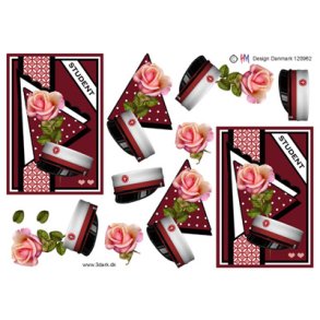 3D klippeark - Student, rd baggrund og rd hue