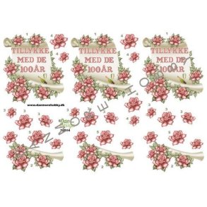 3D klippeark - Tillykke med de 100 r - til fdselsdag