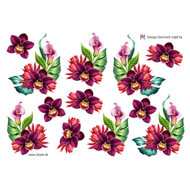 3D klippeark - Blomster, smuk pink orkide &amp; lyserd kalla