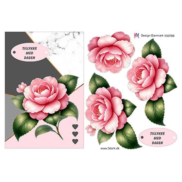 3D klippeark - Blomster, pink rose p� grafisk baggrund, telegramst�rrelse