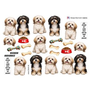 3D klippeark - Hunde bichon havanais