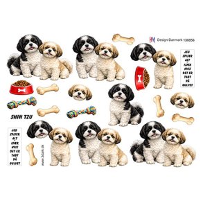 3D klippeark - Hunde; Shih Tzu