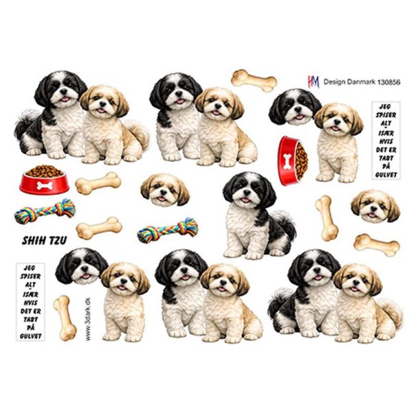 3D klippeark - Hunde; Shih Tzu