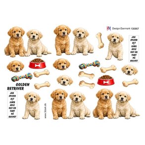 3D klippeark - Hunde; Golden Retriever