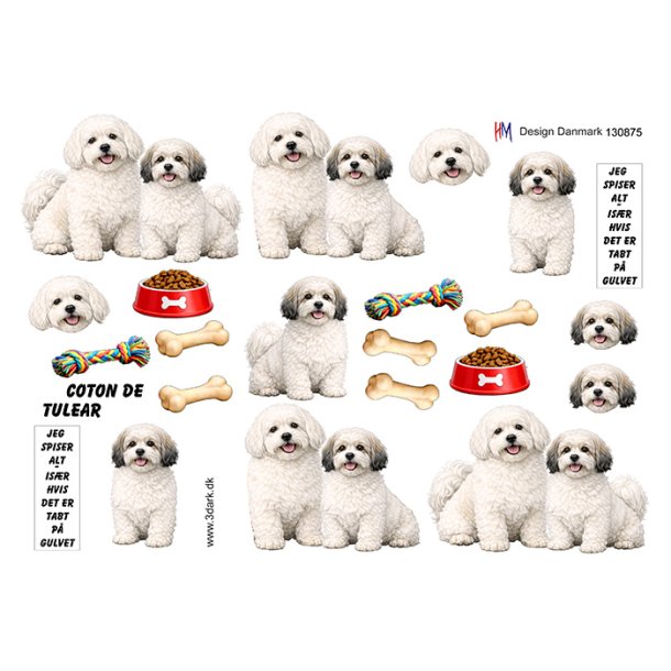 3D klippeark - Hunde; Bomuldshunde (Coton de Tulear)