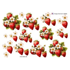 3D klippeark - L�kre jordb�r