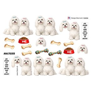 3D klippeark - Hunde; Malteser