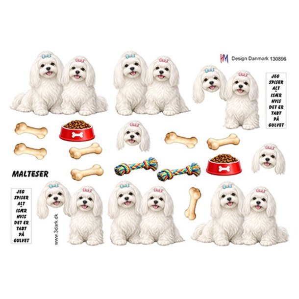 3D klippeark - Hunde; Malteser