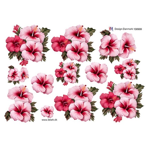 3D klippeark - Blomster, Lyser�d syrisk rose