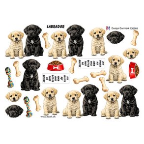 3D klippeark - Hunde; Labrador