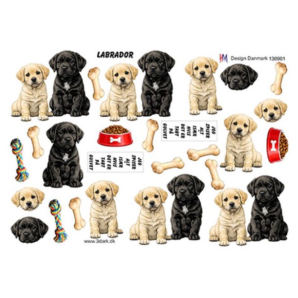 3D klippeark - Hunde; Labrador