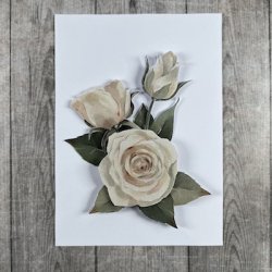 3D klippeark - Smukke hvide roser