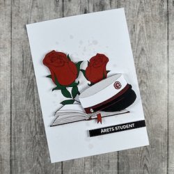 3D klippeark - Student, STX, hue, bog &amp; roser