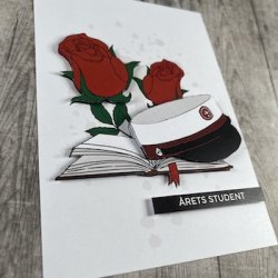 3D klippeark - Student, STX, hue, bog &amp; roser