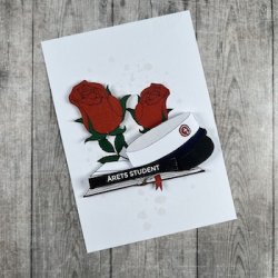 3D klippeark - Student, HTX, hue, bog &amp; roser