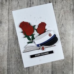 3D klippeark - Student, HHX, hue, bog &amp; roser