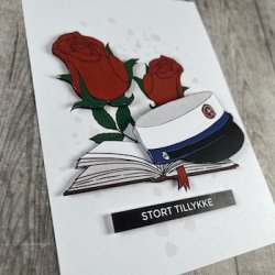 3D klippeark - Student, HHX, hue, bog &amp; roser