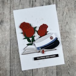 3D klippeark - Student, HF, hue, bog &amp; roser