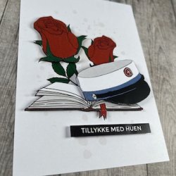 3D klippeark - Student, HF, hue, bog &amp; roser