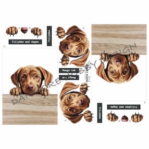 3D klippeark - S�d lille brun labrador hundehvalp