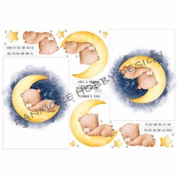 3D klippeark - Sovende babybjrn i mneskin