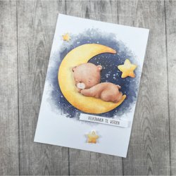 3D klippeark - Sovende babybjrn i mneskin