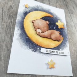 3D klippeark - Sovende babybjrn i mneskin