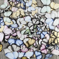 Die cuts - udstansede sommerfugle i pastelfarver (Dan cuts 1985)