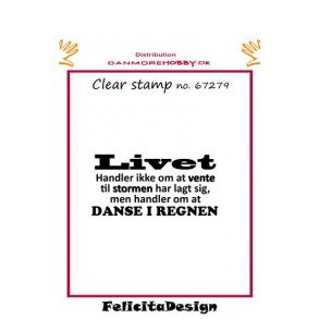 Akrylstempel ca 50x25mm