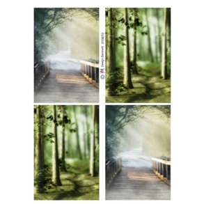 Baggrundspapir, skovstier