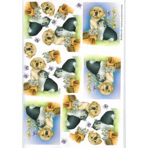 3D ark - Hund & kat, de bedste venner