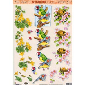 3D ark - Fugle, papegjer, fugleunger og blomster