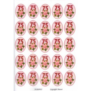 3D ark - Fdselsdage, 75 r, rosa, 5x5, tal