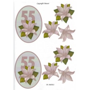 3D ark - Fdselsdage, 55 r, rosa, tal