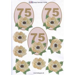 3D ark - Fdselsdage, 75 r, beige, tal