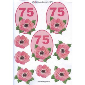 3D ark - Fdselsdage, 75 r, rosa, tal