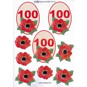 3D ark - Fdselsdage, 100 r, rd, tal