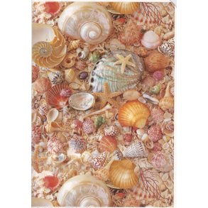 Basispapir m/store s�skaller