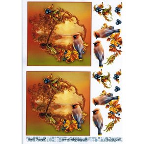 3D ark - Fugle, smuk silkehale i efterrsidyl