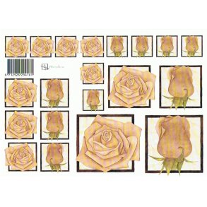 3D ark - Blomster, rose, sandfarvet