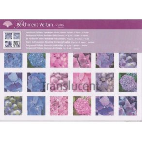 Pergament Vellum, hortensia/bl, pink og lilla, A4, 5 ark