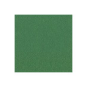 Karton A4 170g med canvas struktur, grs grn