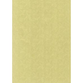 Papir med fugle mnster, 115g, A5, oliven