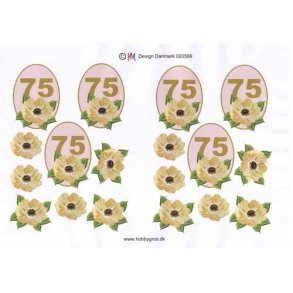 3D ark - Fdselsdage, 75 r, beige, tal