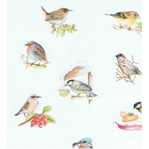 Vellum A4, fugl m/foder, vinter, jul