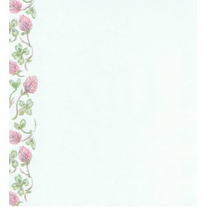 Vellum A4, blomsterranker