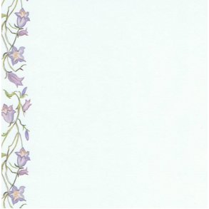 Vellum A4, blomsterranker
