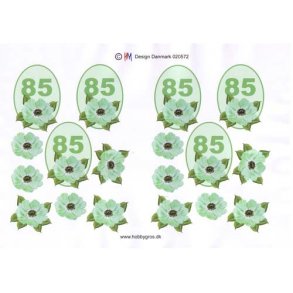 3D ark - Fdselsdage, 85 r, grn, m/bonderoser, tal