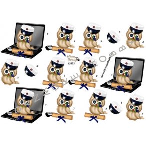 3D ark - Student, bl ugle